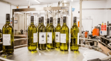 BIO-WEINGUT POLLERHOF  – Röschitz