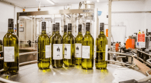 BIO-WEINGUT POLLERHOF  – Röschitz