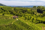 Weingut Le Colture – Santo Stefano die Valdobbiadene – Italien