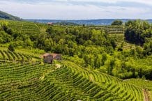 Weingut Le Colture – Santo Stefano die Valdobbiadene – Italien