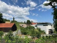 Weingut Ploder-Rosenberg – Vulkanland Steiermark – Österreich