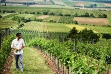 Weingut Grassl – Weine aus Carnuntum – Göttlesbrunn