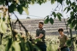 Weingut Gross GmbH  – Ratsch an der Weinstraße – Österreich