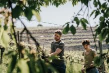 Weingut Gross GmbH  – Ratsch an der Weinstraße – Österreich