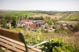 Weingut Hagn –  Weinerlebniswelt & Weindomizil – Pulkautal – Weinviertel – Wein aus Österreich