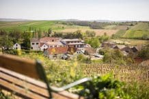 Weingut Hagn –  Weinerlebniswelt & Weindomizil – Pulkautal – Weinviertel – Wein aus Österreich
