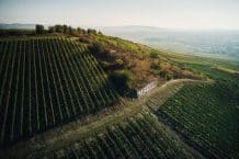Weingut Korrell Johanneshof – Im Namen des Löwen