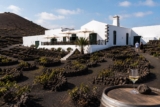 El Grifo Lanzarote: Weingut, Vulkanwein & Besuch