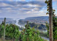 Weingut Leininger – Weine aus Franken – Deutschland