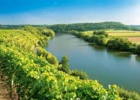 Weingärtner Stromberg-Zabergäu – Nachhaltige Weine mit bester Qualität