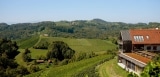 Weingut NeueHeimat (ehemals Goedwinemakers)