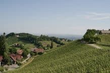 Weingut Polz – Weine vom Grassnitzberg aus Strass in der Steiermark