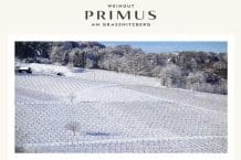 TOP 100 WINES of AUSTRIA – Sauvignon Blanc Ried Zieregg 2020