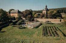 Weingut Schloss Vollrads GmbH & Co Besitz KG – Riesling aus Deutschland