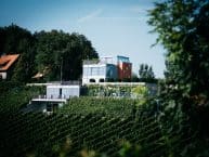 Familienweingut Tement – BIO Weine – Winzarei – Südsteiermark – Österreich