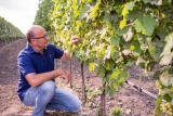 Weingut Tschida Angerhof in Illmitz