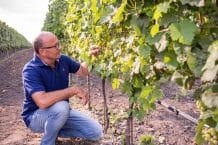 Weingut Tschida Angerhof in Illmitz
