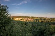 Weinhof Waldschütz –  Sachsendorf, Kirchberg am Wagram