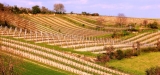 Winzerhof Scheit in Karnabrunn – Weingut und Weine
