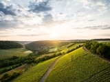 Winzerhof Stahl: Ein Familientraditionsbetrieb mit Zukunftsvision – Franken Weine aus Deutschland