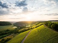 Winzerhof Stahl: Ein Familientraditionsbetrieb mit Zukunftsvision – Franken Weine aus Deutschland